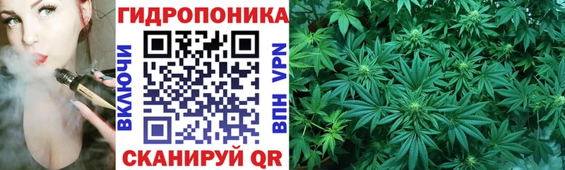 Где продают наркотики Дубовка Псилоцибиновые грибы  Конопля  МЕФ  ГАШИШ 