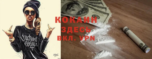 шишки Абинск