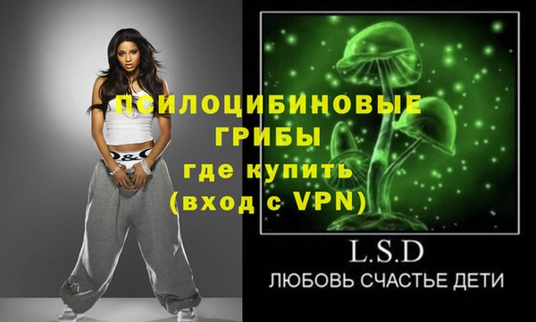 шишки Абинск