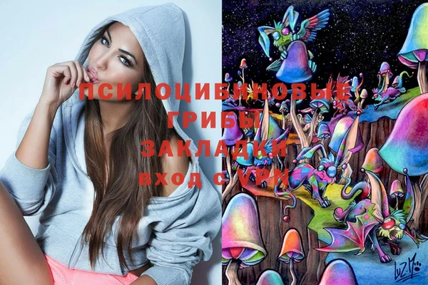 скорость Сосновый Бор