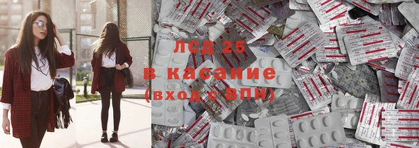 шишки Абинск