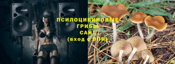 ECSTASY Абаза