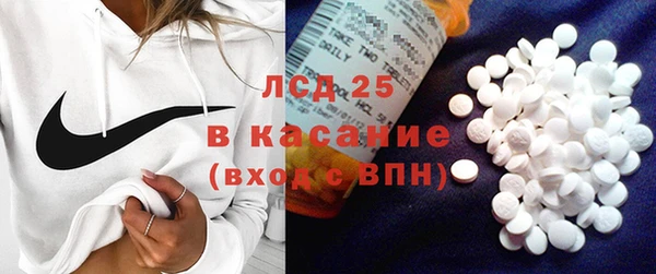 шишки Абинск