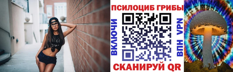 дарнет шоп  Дубовка  Галлюциногенные грибы мухоморы 