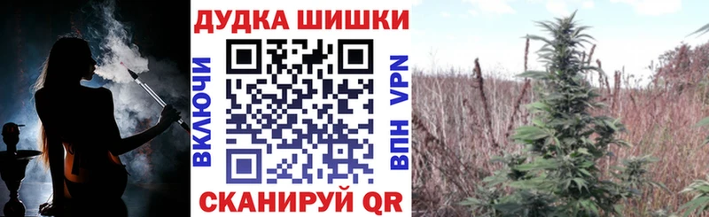 где купить наркоту Дубовка hydra маркетплейс Конопля OG Kush